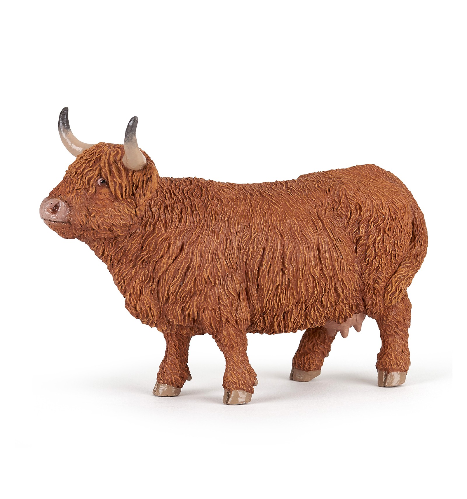 target highland cow picture