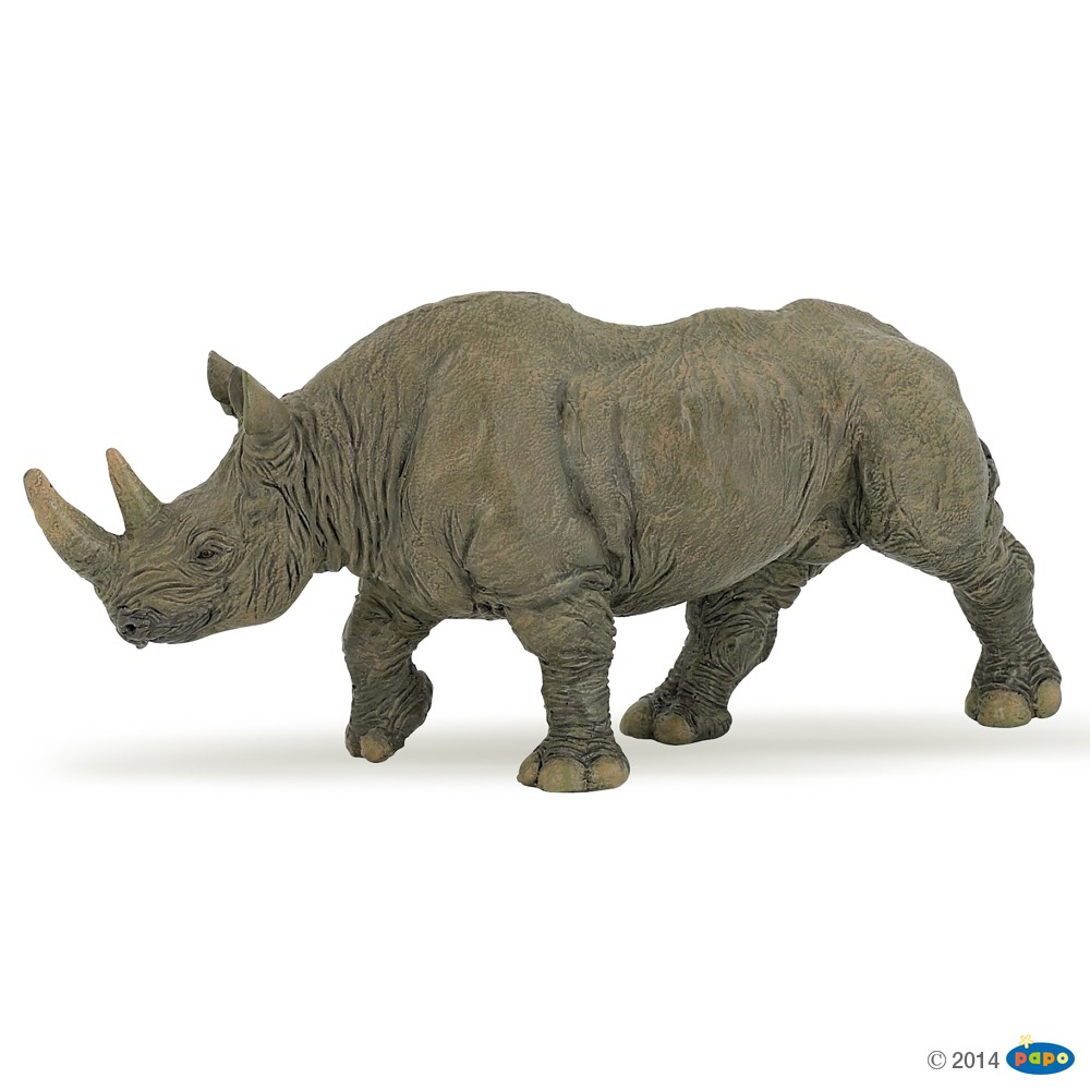 rhinoceros images