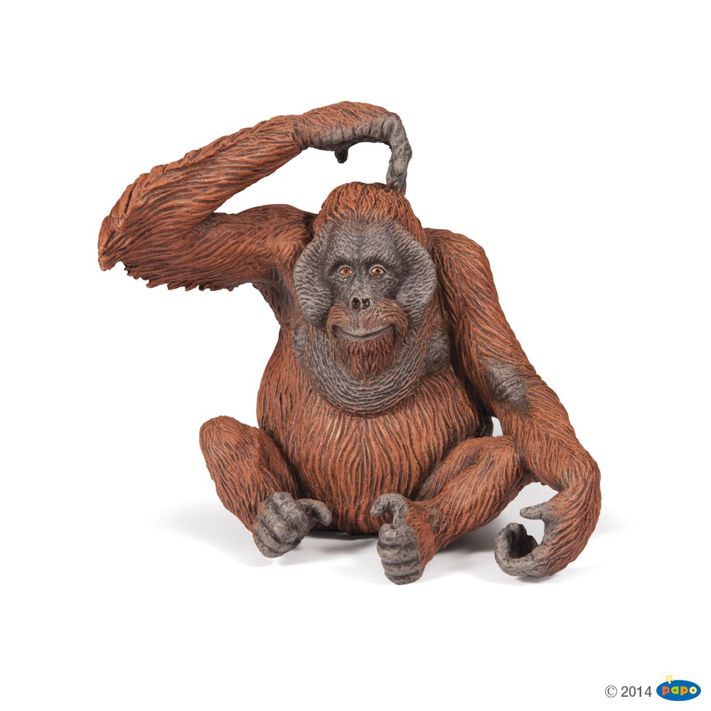 Orangutan - Papo
