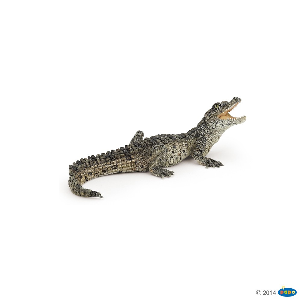 Figurine Bebe Crocodile