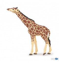 Papo Wild Animal Figurines Toy Collection - Learn Animal Names 